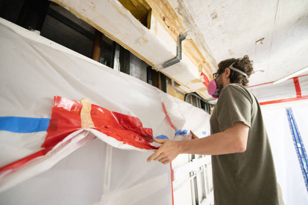 Best Mold Documentation for Insurance Claims  in Badger, AK